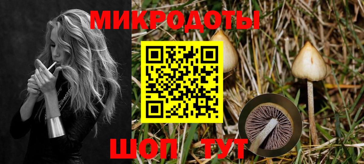 Галлюциногенные грибы Magic Shrooms Михайловка