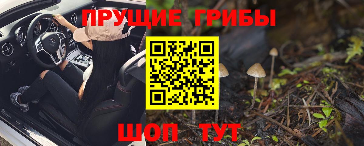 Галлюциногенные грибы Magic Shrooms  Псилоцибиновые грибы MAGIC MUSHROOMS  где продают   Михайловка  Вход с VPN 