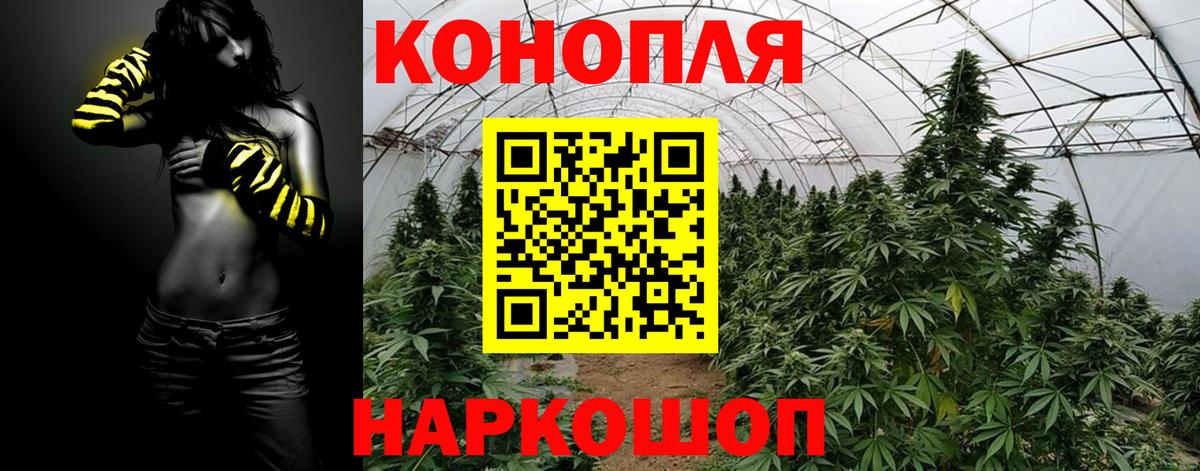 Михайловка  Каннабис MAZAR  Конопля план  Вход с VPN 